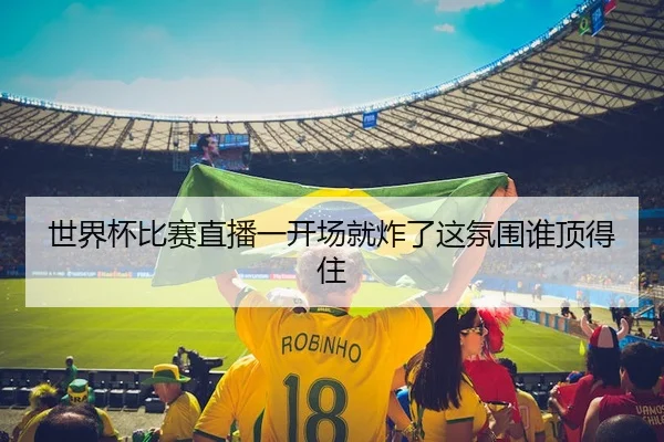 世界杯比赛直播一开场就炸了这氛围谁顶得住