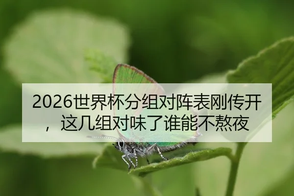 shi-jie-bei-fen-zu-dui-zhen-biao-gang-chuan-kai-zhe-ji-zu-dui-wei-le-shui-neng-bu-ao-ye-2-531.jpg
