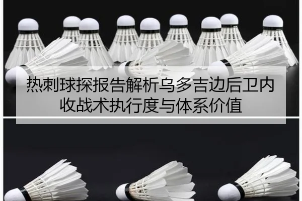 热刺球探报告解析乌多吉边后卫内收战术执行度与体系价值
