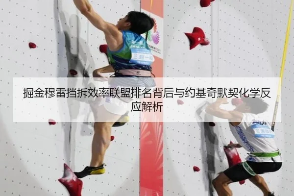 掘金穆雷挡拆效率联盟排名背后与约基奇默契化学反应解析