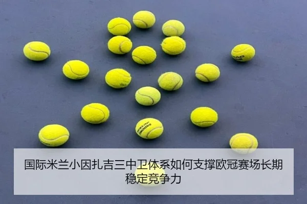 国际米兰小因扎吉三中卫体系如何支撑欧冠赛场长期稳定竞争力