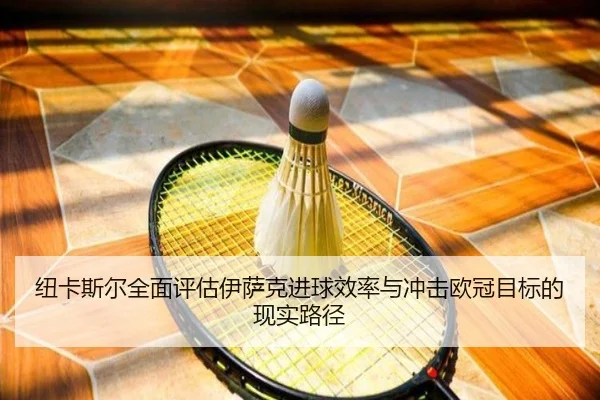 纽卡斯尔全面评估伊萨克进球效率与冲击欧冠目标的现实路径